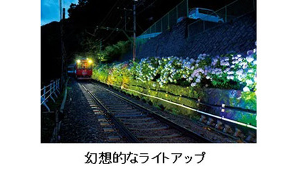 箱根登山鉄道、「箱根あじさい電車」で夜間ライトアップを実施